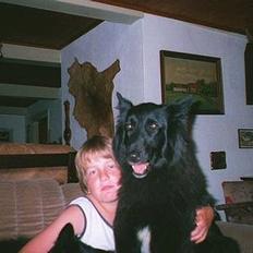 Groenendael Elmelys Kiami