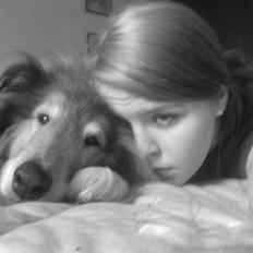 Collie langhåret Carrot R.I.P <3