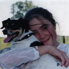 Dansk svensk gaardhund Bella *Himmelhund*