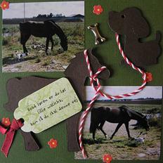 Dansk svensk gaardhund Bella *Himmelhund*