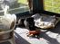 Labrador retriever Walter - walter med sin gris i campingvognen