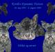Kerry blue terrier Kordes Dynamic Future