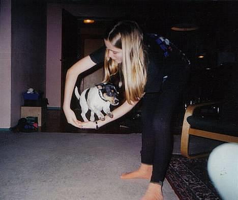 Dansk svensk gaardhund Bella *Himmelhund* - Her laver hun et af sine mange tricks... hopper igennem mine arme. billede 5