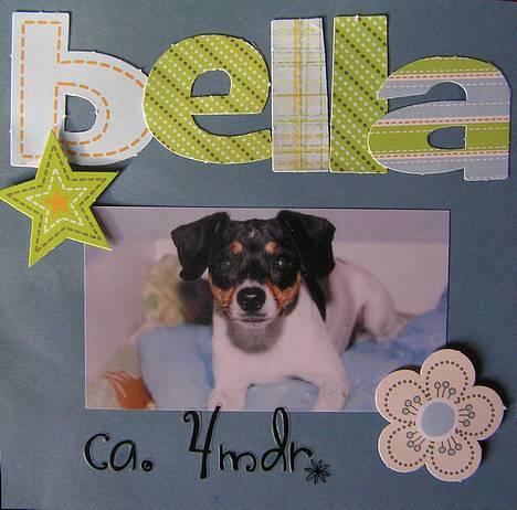 Dansk svensk gaardhund Bella *Himmelhund* - Fra min bella-scrapbog. Bella på min seng... er hun ikke skøn? billede 6