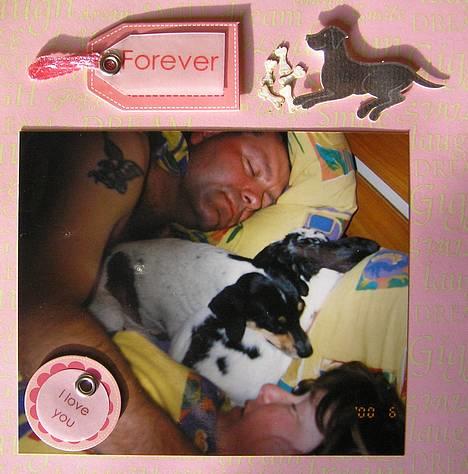 Dansk svensk gaardhund Bella *Himmelhund* - Fra min bella-scrapbog. Her sover Bella sammen med min mor, far og min kanin Sofus. Sikke et par søde sovetryner. Både kanin og hund elskede når de fik lov til at sove i sengen sammen. billede 9