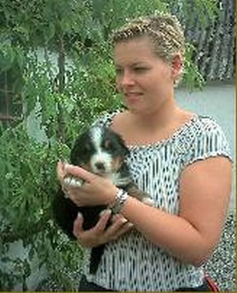 Berner sennenhund Malou - Min elskede Malou da hun var helt lille - opdrætter står med hende! billede 2