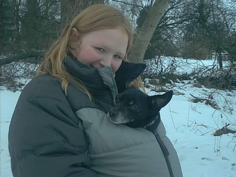 Dansk svensk gaardhund Pjevs - Død - Uuuuhhhhhaaaaaaa...... hvor er det koldt når man ikke har den tykke frakke på og vinden blæser og det sneer! billede 4