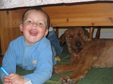 Irsk terrier Jeffi 13/2 - Jeffi og Rasmus hygger sig under bordet, rasmus er min fætter på 3 år =o) billede 5