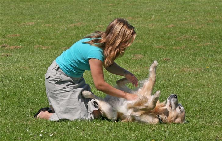 Golden retriever Nickie *Himmelhund* - lMin mor skulle tyage et godt billede af Nickie og jeg sammen, men han ville hellere nusses.:-) 20. juli 07 billede 2