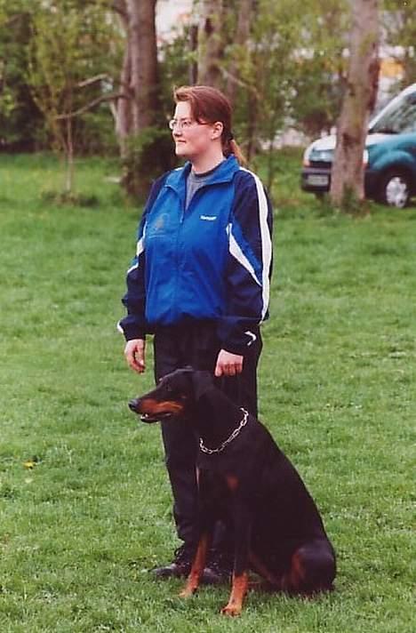 Dobermann Dina (22/02/98-24/09-07) - Apporten er kastet. Mor og mig til begynderprøve billede 4