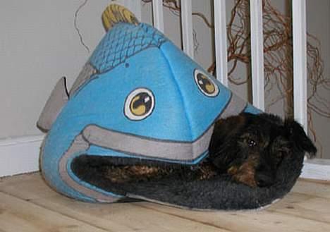 Gravhund Trold billede 1