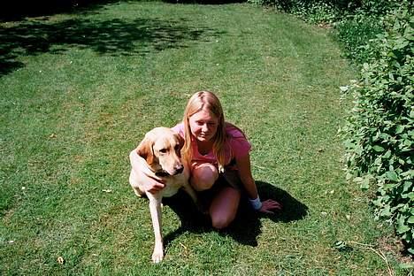 Blanding af racer Donna billede 8