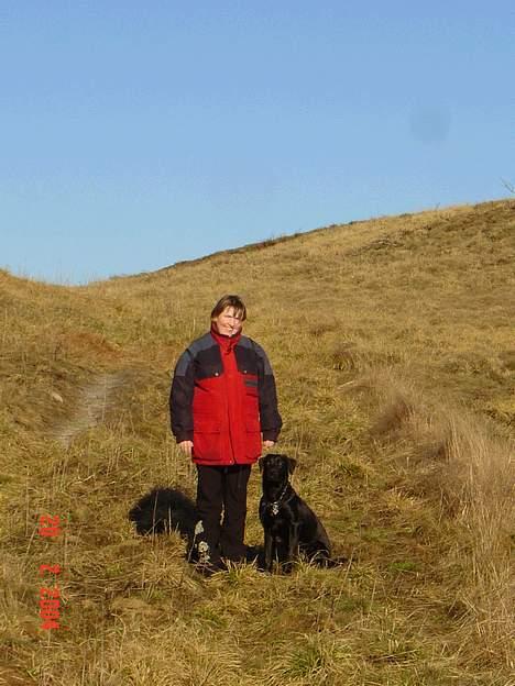 Blanding af racer sally - skete der ikke lige noget der ovre alligevel billede 9