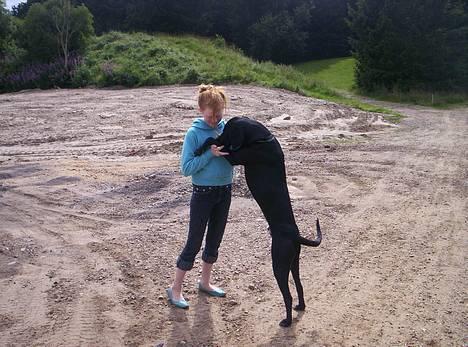 Blanding af racer balder - fy Balder du må ikke springe op....(men jeg bad jo selv om det) billede 8