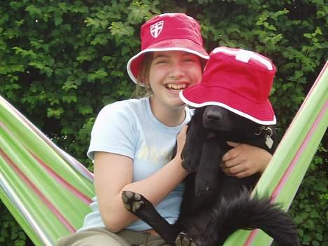 Labrador retriever Mon Cherié - Vi holder med Danmark !! billede 8