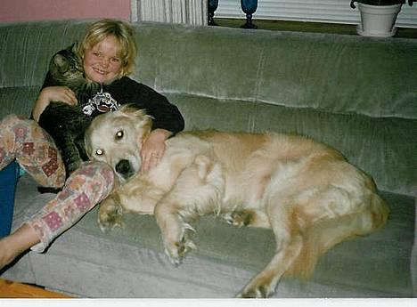 Golden retriever Leregårdens Luck  - her er mig og Luck og min føreste Kat Mis billede 6