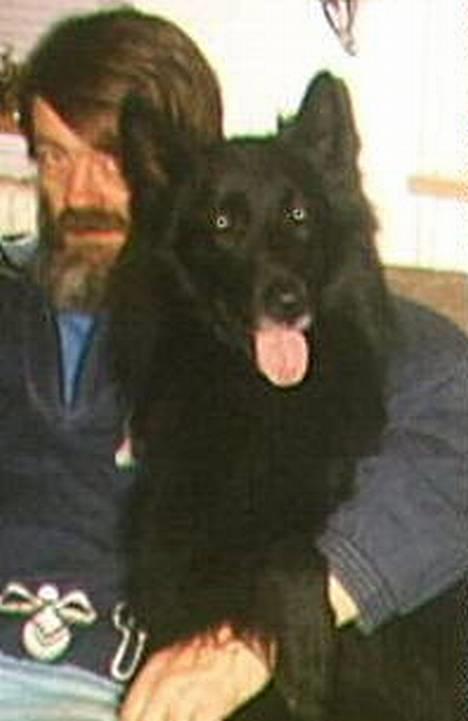 Groenendael Elmelys Bølle (Zorro) - Mig og Bølle billede 3