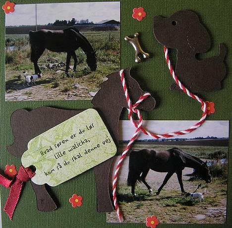 Dansk svensk gaardhund Bella *Himmelhund* - Fra min Bella-scrapbog. Her hjælper Bella mig med at trække min daværende hest Walicha. billede 3