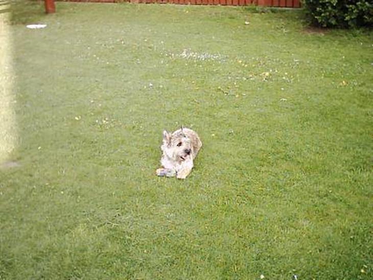 {{currentPhoto.altText}} billede {{currentPhoto.number}}