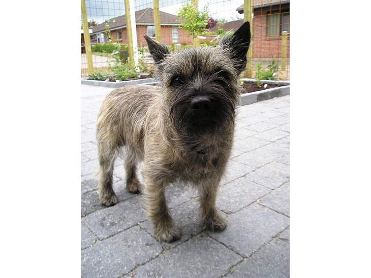 {{currentPhoto.altText}} billede {{currentPhoto.number}}