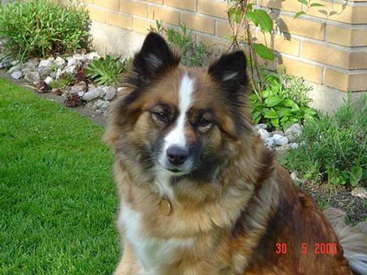 {{currentPhoto.altText}} billede {{currentPhoto.number}}