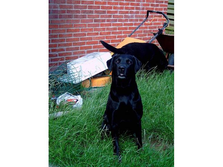 {{currentPhoto.altText}} billede {{currentPhoto.number}}