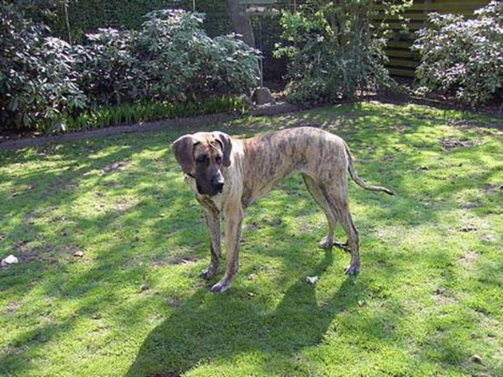 {{currentPhoto.altText}} billede {{currentPhoto.number}}