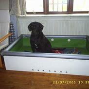 Blanding af racer tøsen