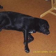 Blanding af racer tøsen