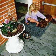 Gravhund :  ***Charlie*** 