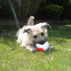 Blanding af racer max <3