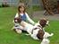 Engelsk springer spaniel mickey - ANNE-METTE, MICKEY OG RICO