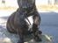 Blanding af racer Luna (R.I.P aflivet 17/1-17)