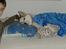 Siberian husky A'tebs Rob roy - Nu skal roy puttesove!