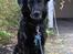 Blanding af racer Trunte (2002-2015) - April 2006