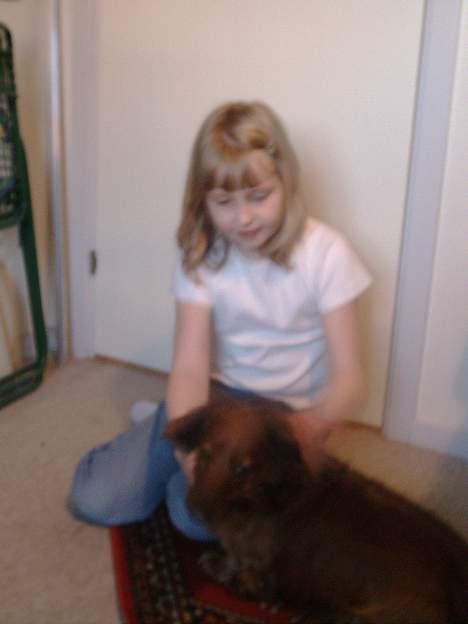 Gravhund :  ***Charlie***  - her er sidder jeg sammen med Anna billede 2