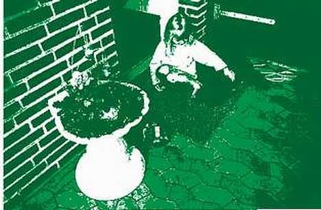 Gravhund :  ***Charlie***  billede 5