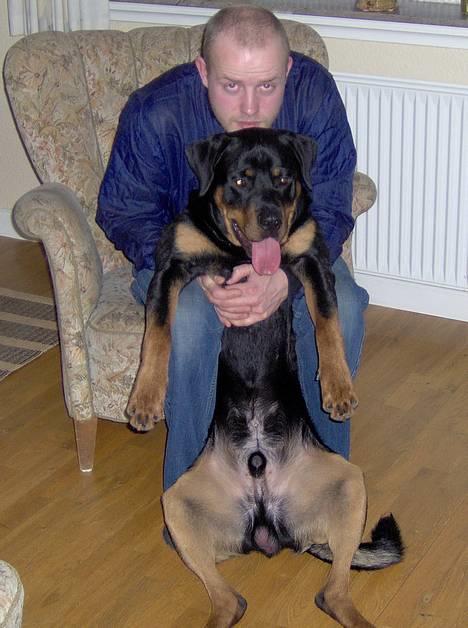 Rottweiler Rex billede 7