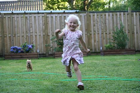 Chihuahua NEMO - nu kommer jeg efter dig, venttt pååå miggg. billede 7