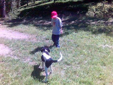 Blanding af racer Qato - Hygge i skoven! billede 16