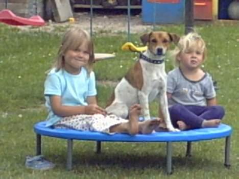 Blanding af racer bølle. billede 3