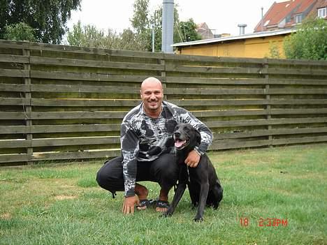 Blanding af racer king R.I.P 2dec 09 - med far ude i haven billede 7