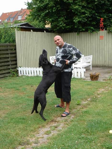 Blanding af racer king R.I.P 2dec 09 billede 8