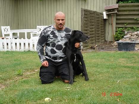 Blanding af racer king R.I.P 2dec 09 billede 9