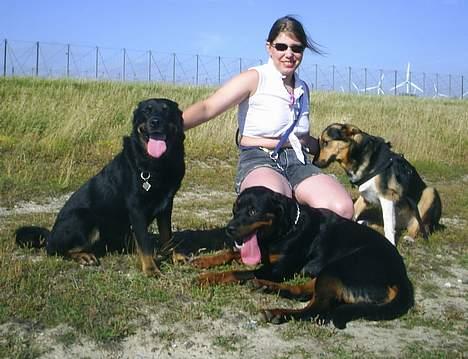 Blanding af racer Sacha RIP - Sacha og hendes undersåtter*S*  billede 12