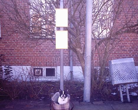 Blanding af racer Nielson - iiih hvor er det kedeligt at vente på bussen... billede 11