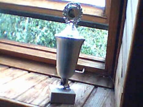 Blanding af racer perle - Den 3 plads jeg har vundet med perle i år. 2000 det er lang tid siden hehe billede 8