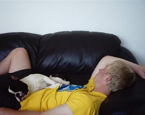 Blanding af racer Nielson - nielson og far sover :) billede 13