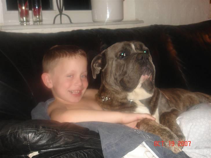 Blanding af racer Otto billede 2