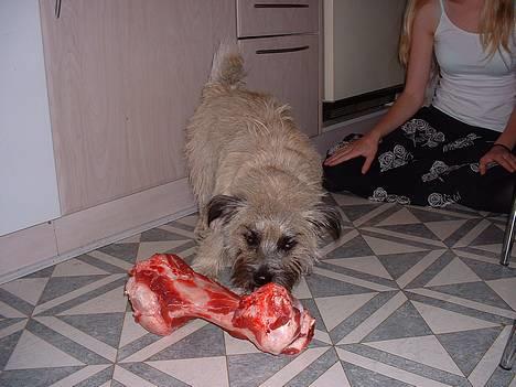 Blanding af racer max <3 billede 2